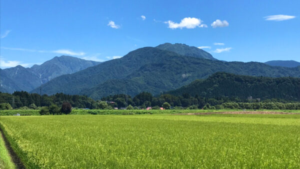 令和7年【ふるさと会員】募集のお知らせ<令和7年6月以降発送分>南魚沼市出身の方でも、旅行で来た方でも、どなたでもok!
