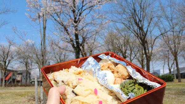 八色の森公園でお花見散歩ランチ♪してきました　2024/4/12